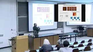 Simple physics of complex &ldquo;biomachines&rdquo;: the curious case of the Nuclear Pore Complex