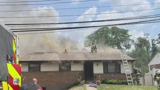 Home goes up in flames after homeowner tries to kill bees with fire