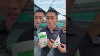 Prozyme c&oacute; trộn với kh&aacute;ng sinh được kh&ocirc;ng #nuoitom #thuysan #thuysanvui247