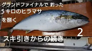 ヒラマサを捌く無編集動画 グランドファイナルで釣った５キロ編 ２