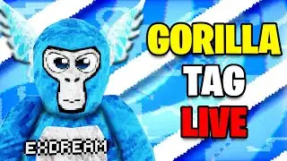 🔴 Gorilla Tag Livestream! With Viewers! (🎉Minigames + Infection🔥)
