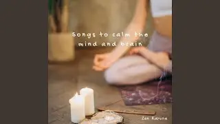 Music to relax and harmonize environments - Delta 2Hz Binaural Waves