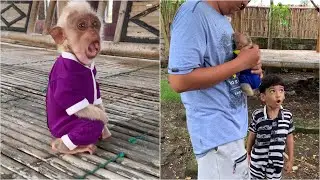 Baby Monkey Mone Can&rsquo;t Handle It When Dad Goes to Rescue Lon 😢