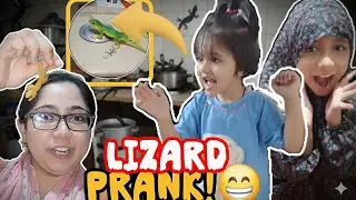 Lizard 🦎 Prank On Family | Nidi Vlogs | Lizard Prank