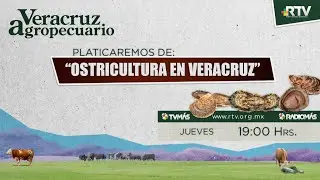 Veracruz Agropecuario 30OCT2025