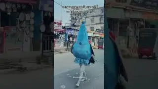 অৰুণোদয় একাডেমী,আমগুৰি সাংস্কৃতিক শোভাযাত্রা১১/০১/২০২৬