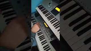  A song I composed myself. Called NEVER FORGET. Played on Roland em55 workstation and Yamaha 323