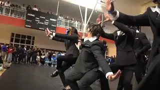 Fall 24 Probate Recap: The Rebirth: 6SOK
