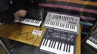 Stomping On Synths: Digitech Luxe + KORG MS-20 Mini