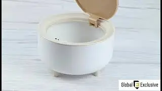 The desktop trash can uses a pop-up lid