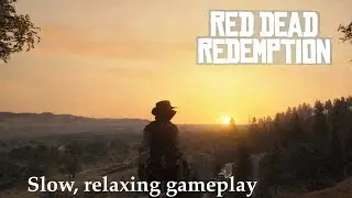RDR1 PS5 - Walk with Marston