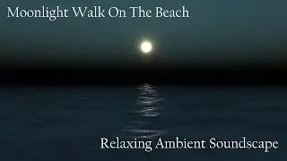 Relaxing Ambient Soundscape - Moonlight Walk On The Beach - Footsteps On Sand - Crashing Waves