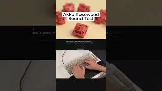 Akko Rosewood Sound Test #shorts #akkoswitches #keyboard