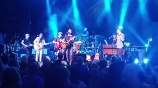 Brody Buster & The Bacon Brothers