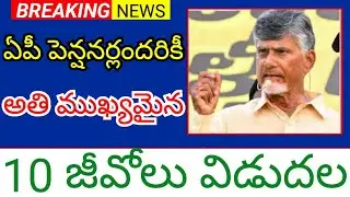 10 most important JVOs released for all AP pensioners