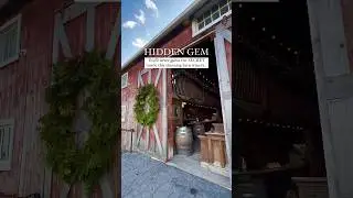 HIDDEN GEM! 1920s speakeasy behind secret door! #exploreontario #winery #hiddengems