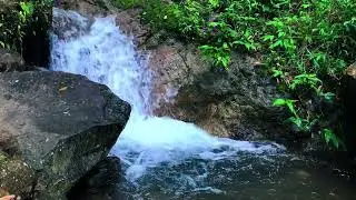 Natural River Stream Sounds Designed to Ease the Mind and Improve Focus