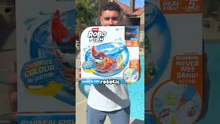 what Robot Fish look like