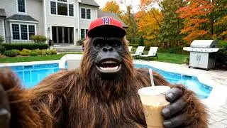 Bigfoot&rsquo;s Rodent Rampage #pestcontrol #pestmanagement #funny
