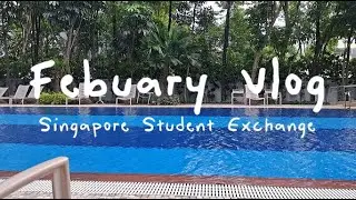 february vlog dump ౨ৎ ⋆ ｡˚