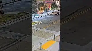 Mountain lion spotted in downtown Salinas