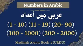 Madinah Arabic Book-2, Lesson 24, Part 2 l Numbers in Arabic l Arabi adad l عربي اعداد