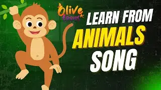 Learn from Animals | Toddler Learning Song #olivektoons
