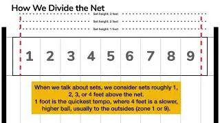 The Net: Setting and Attacking Zones