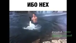 Ударил лебедя по морде. Hit the swan in the face.