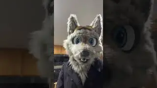 No no birthday here 😐 #furry #furryfandom #furrywolf #wolfcostume #birthday #aprilfools #fursuit