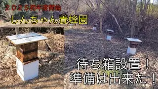 しんちゃん養蜂園の日本ミツバチの待ち箱設置完了しました。