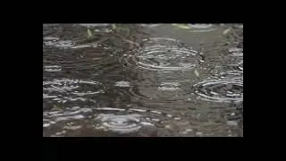 1 hora de sonidos relajantes de lluvia