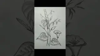 pencil scratch, bamboo tree with wildflowers #artlovers  #flowerdrawing  #flowers  #painting