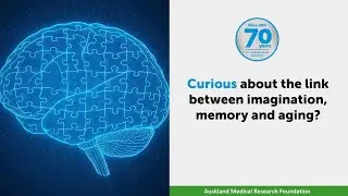 Curious About The Link Between Imagination, Memory and Aging? | AMRF