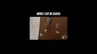 Average class🥰🥰🥰 #hazbinhotel #classroom #school #schoolhumor #jokes #memes #helluvaboss #class