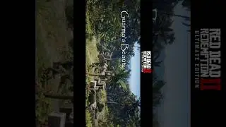 Guarma Map RDR2 is the best map, showing the best flora and fauna.. #ultrahighgraphics #rdr2gameplay