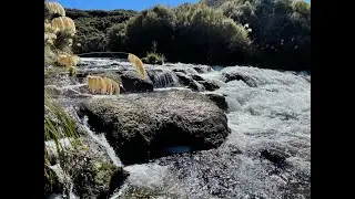 Poronui Lodge 2021