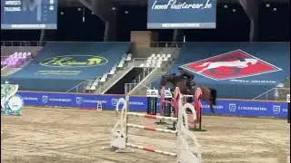 Acantos JS Z 1.30m Sentower. Gelding 2019, Aganix Du Seigneur x Flamenco De Semilly 