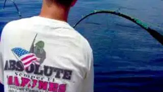St Pete Beach Fl Fishing Charters Goliath Grouper | Clearwater Beach Fishing Charters
