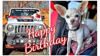 Happy Birthday To My Little Dog | Many Adventures With My Dog