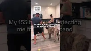 #DogsBeingFunny#DogsTalking#DogChallenge
