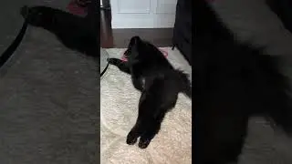 She&rsquo;s so silly