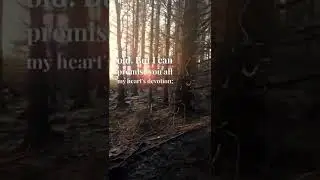 These I Can Promise&rsquo; By Mark Twain [Quotes, Poetry, Spokenword, Irish Narration]