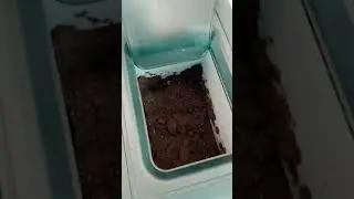 From Plate to Plant: GEME Composter Transforms Food Waste into Garden Goodness!#composting #youtube