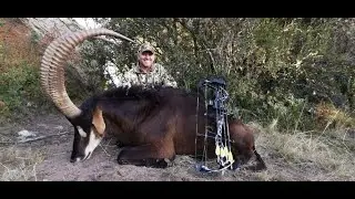 Bowhunting Sable