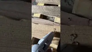 Glue gun to make a bridge out of recycle pallets.