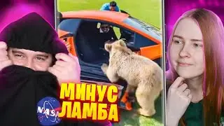 МЕДВЕДЬ РАЗБИЛ ЛАМБУ! Реакция на смешные видосы