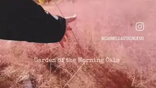 Garden of the Morning Calm | Autumn 2022 | #TravelKorea