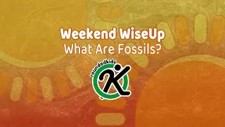 How do fossils happen?! 🤔 #palaeontology #paleontology #dinosaurs #science #biology  #learn