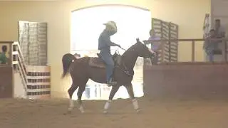 GERRY LIGUORI HOLLY WOLLY GUN FUTURITY